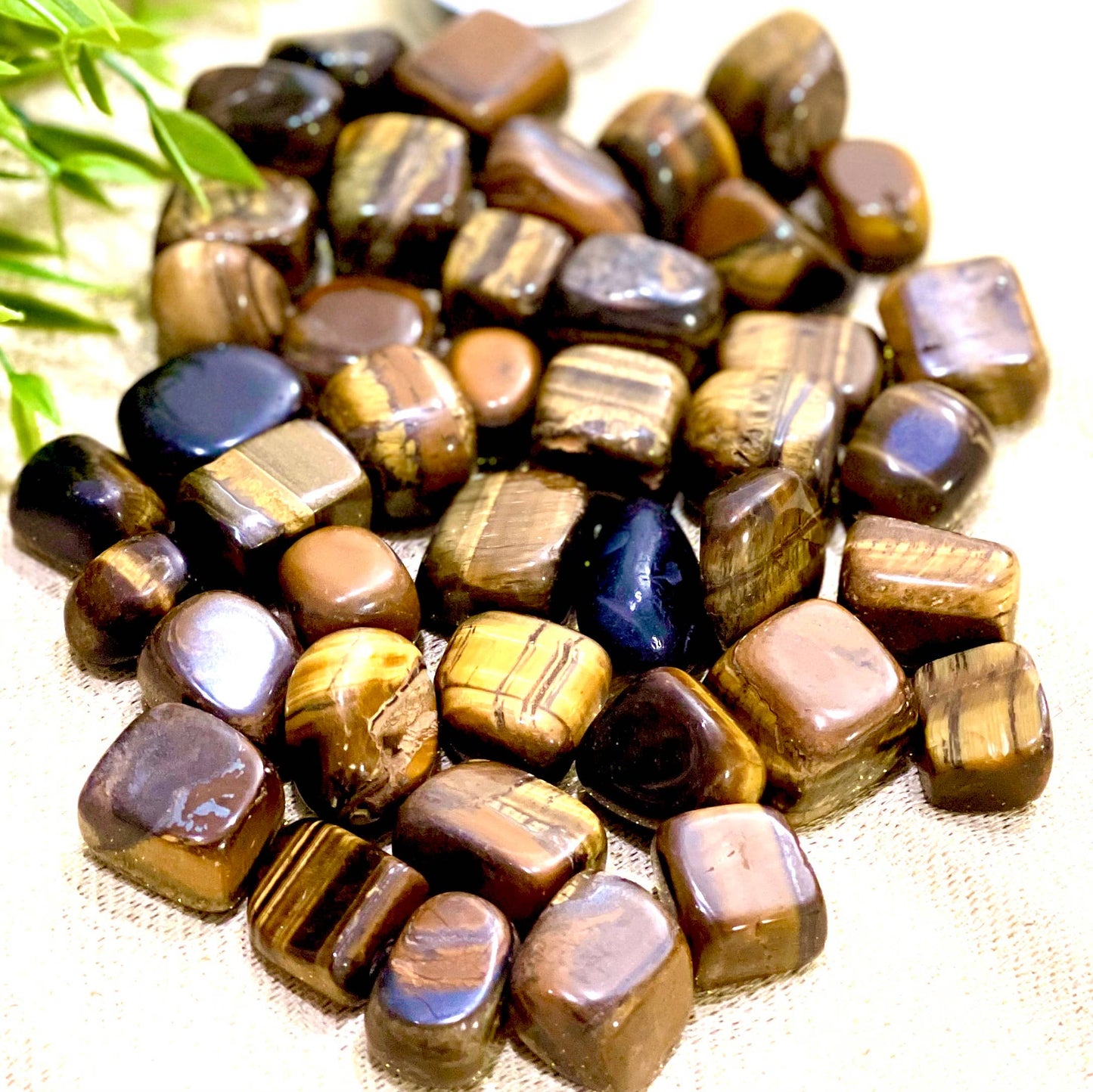 Natural Tigers Eye Tumbled Stone - 1Lb