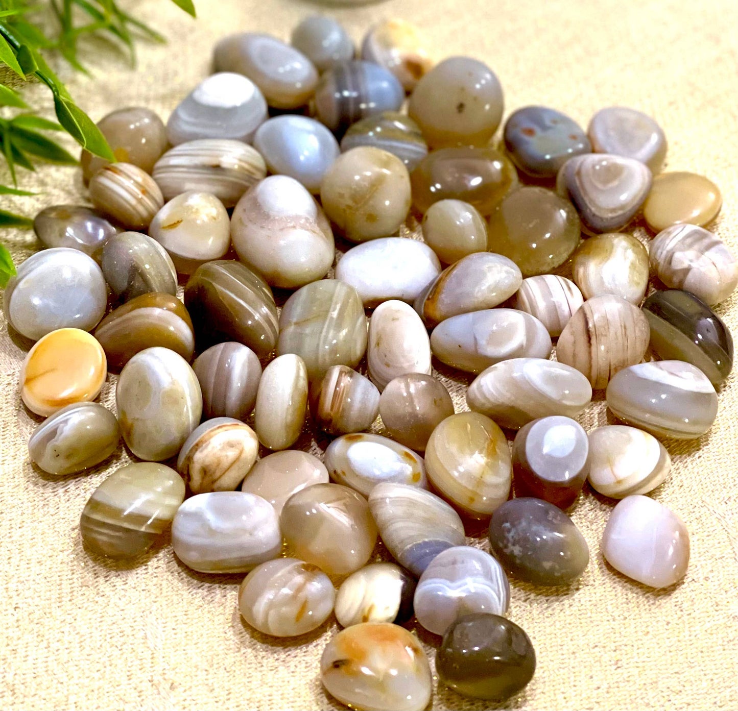 Natural Indian Agate Tumbled Stone - 1Lb