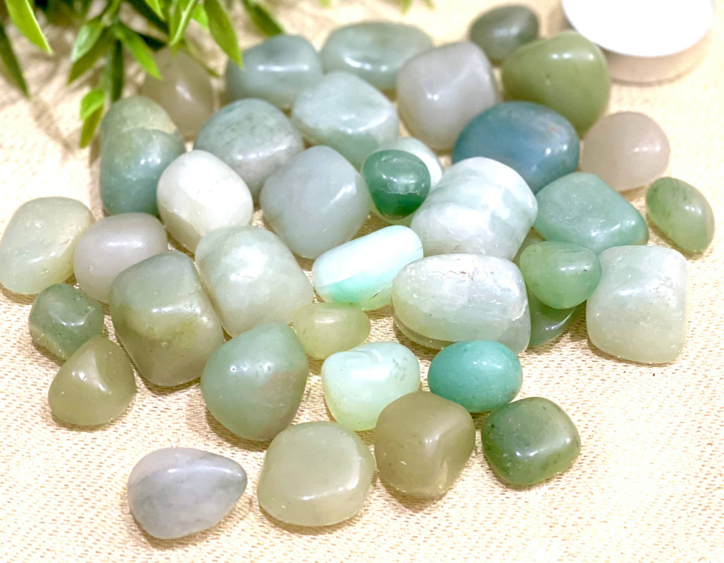 Natural Green Aventurine Tumbled Stone - 1Lb