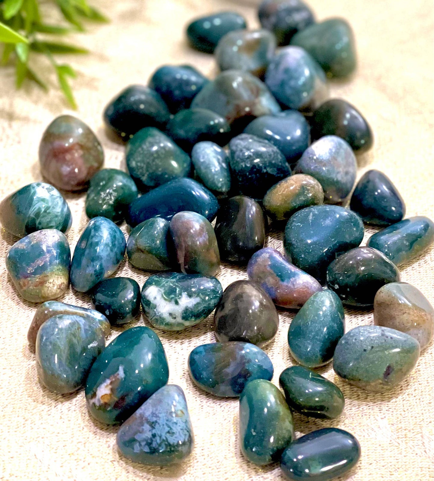 Natural Bloodstone Tumbled Stone - 1Lb