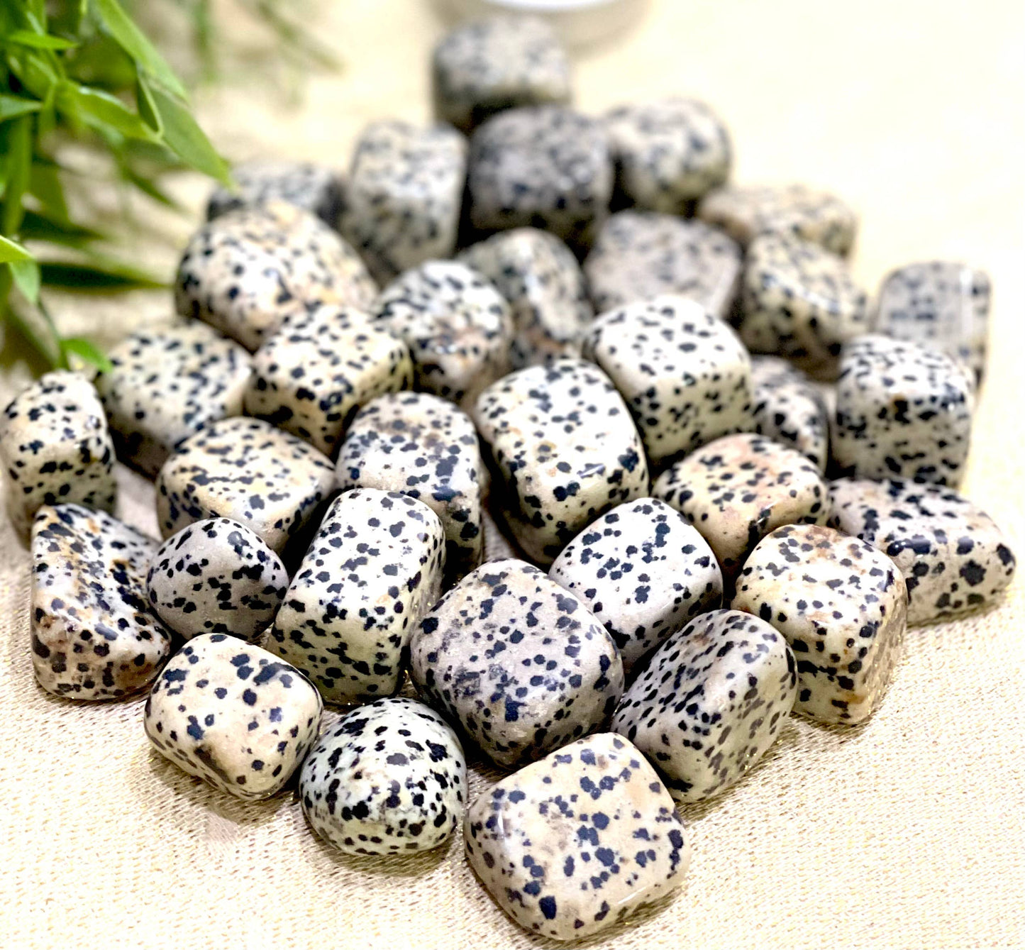 Natural Dalmatian Jasper Tumbled Stone - 1 Lb