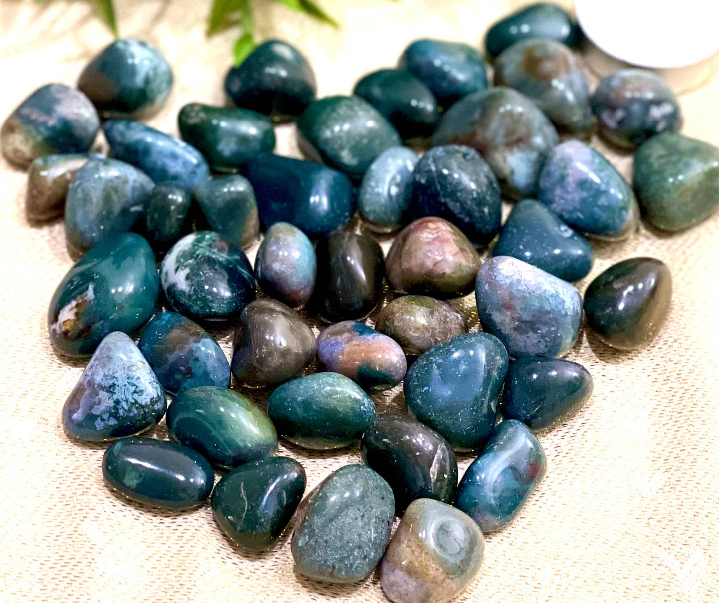 Natural Bloodstone Tumbled Stone - 1Lb