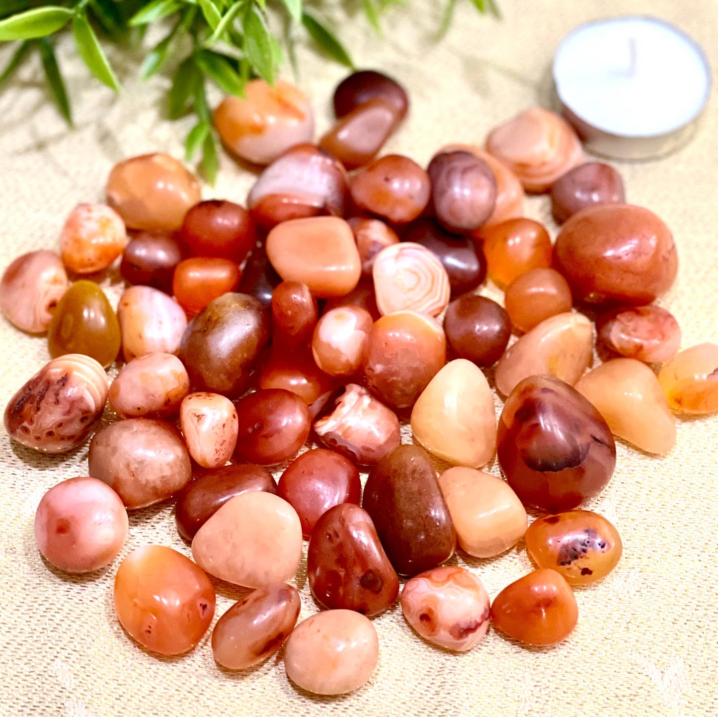 Natural Carnelian Tumbled Stone - 1Lb