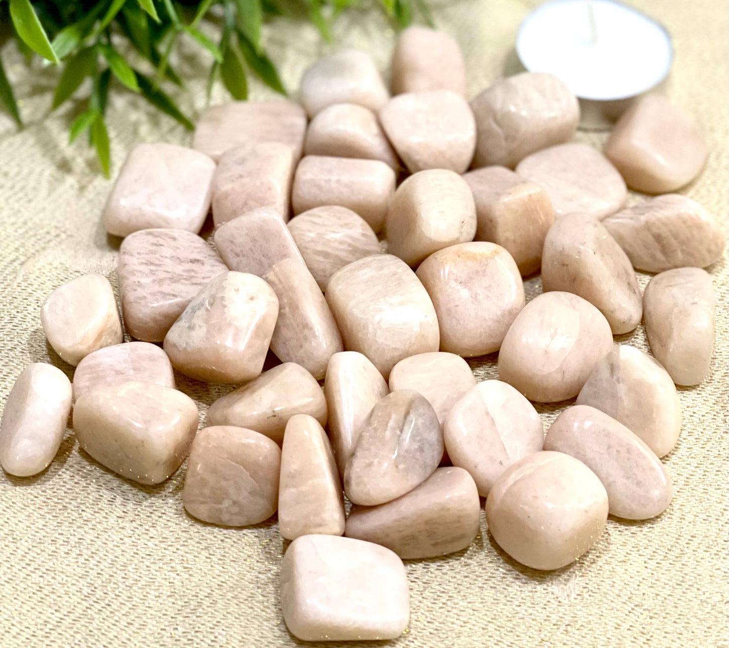 Natural Moonstone Tumbled Stone - 1Lb