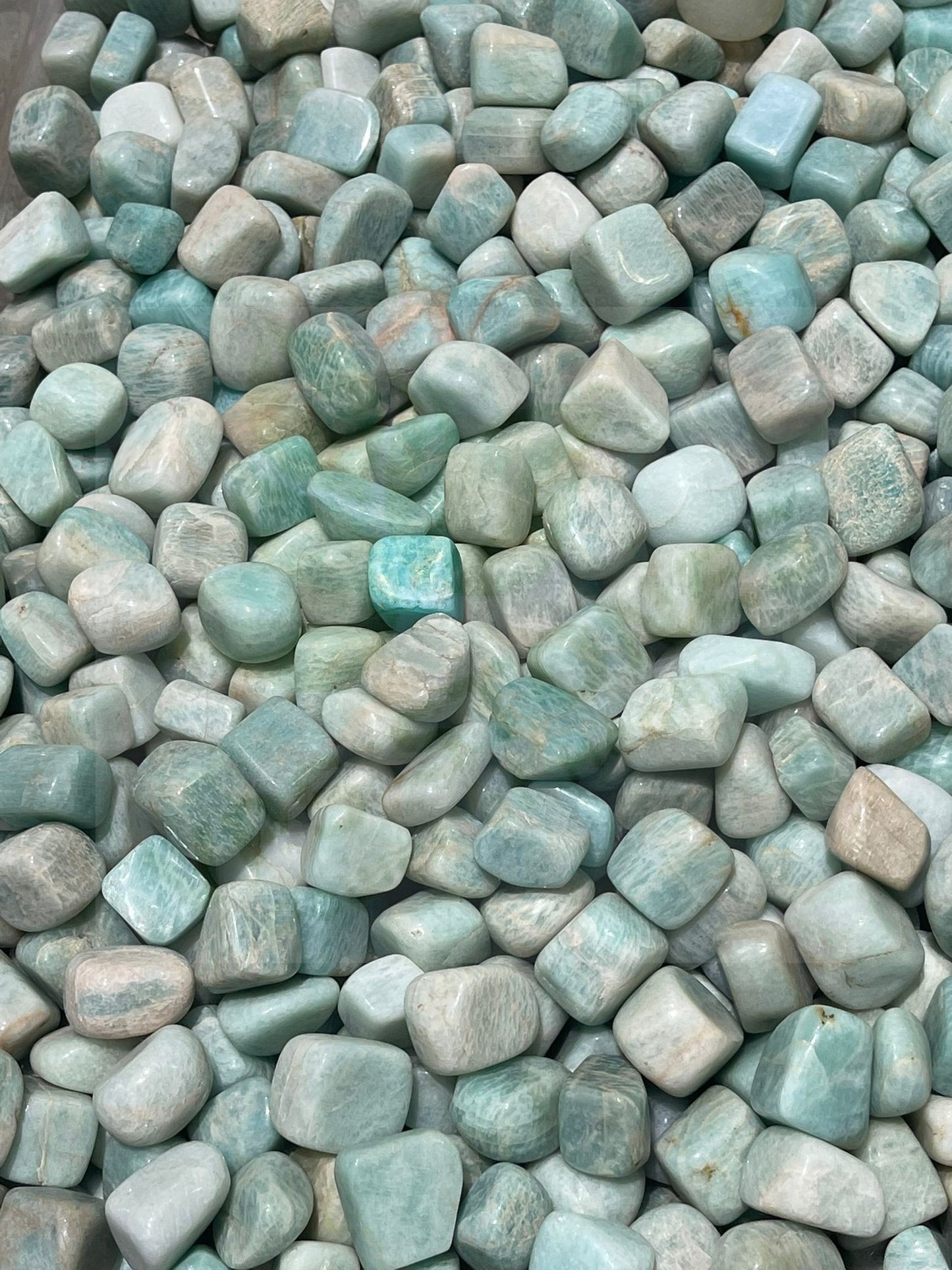 Natural Amazonite Tumbled Stone - 1Lb