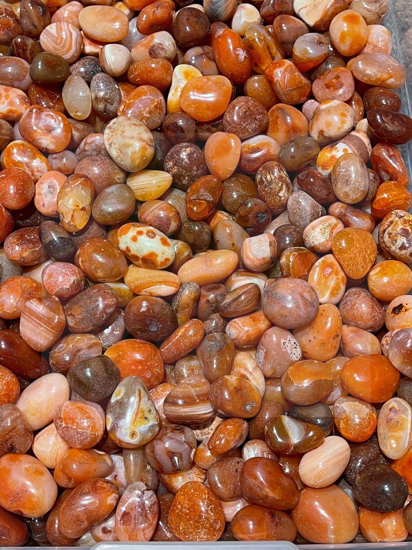 Natural Carnelian Tumbled Stone - 1Lb