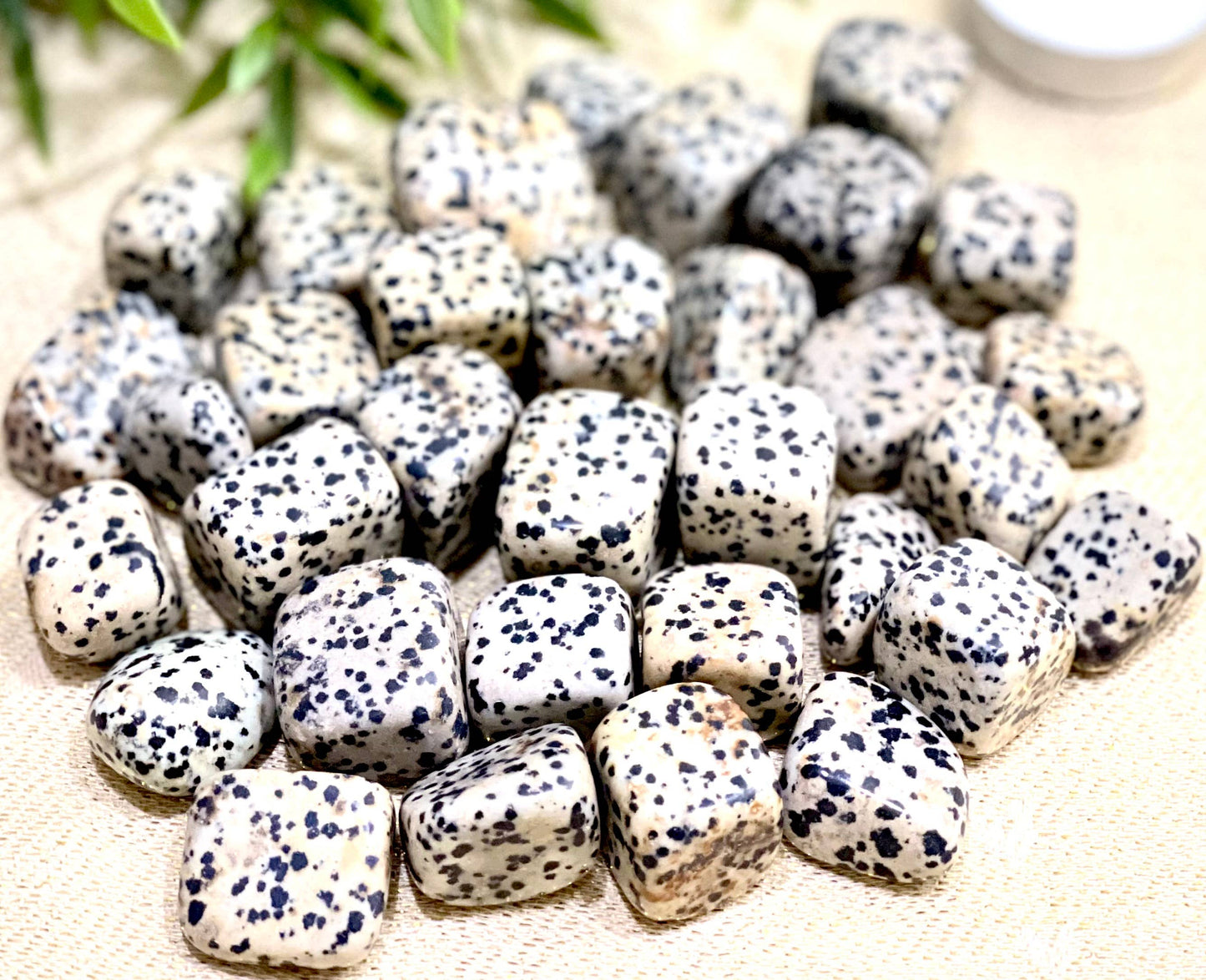 Natural Dalmatian Jasper Tumbled Stone - 1 Lb