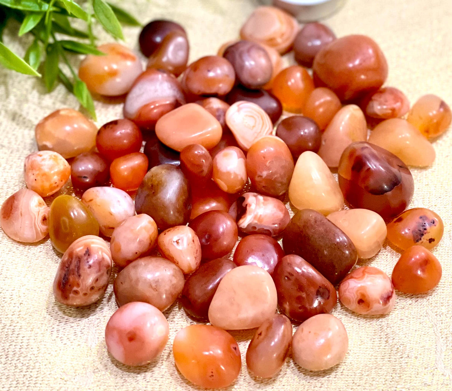 Natural Carnelian Tumbled Stone - 1Lb