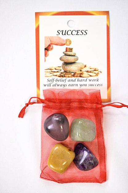 Success -  Crystal Healing Bag