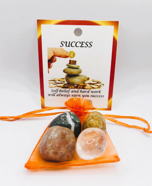 Success -  Crystal Healing Bag